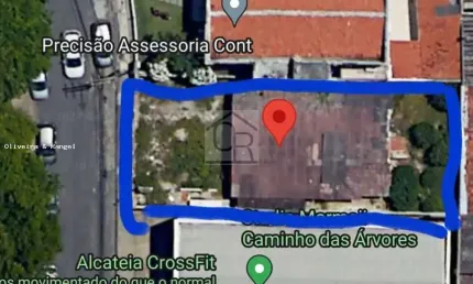 Terreno comercial para alugar na Rua das Rosas, Pituba, Salvador
