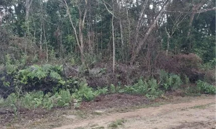 Chácara para venda em itanhaém, jardim são fernando