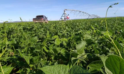 Fazenda no oeste da bahia no rio são francisco. barra. 1756 hectares pivô central