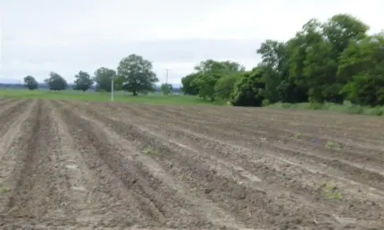 Fazenda arrendamento para café em Porto Seguro. 80 hectares, 120 hectares, 310 hectares