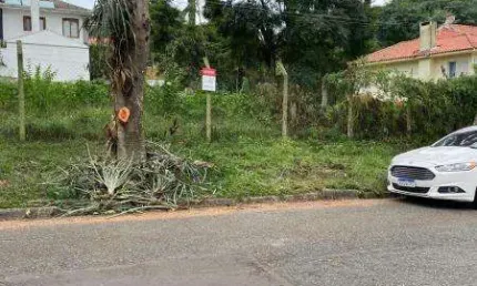 Terreno à venda na Rua Gregório De Mattos, Centro Cívico, Curitiba