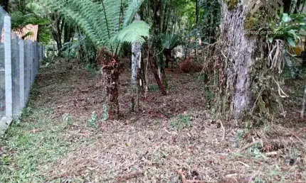 Terreno, 640,00m², à venda em Canela, Parque das Hortênsias (Laje de Pedra).