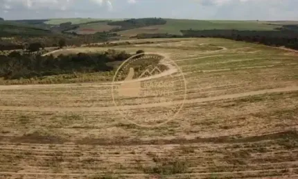 Fazenda à Venda em Batatais/SP com 54 Alqueires e Arrendamento Ativo