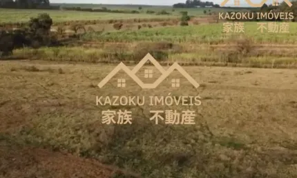 Área Urbana à Venda em Brodowski/SP – 37.000m² com Asfalto e Energia