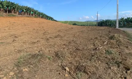 Terreno à venda na Avenida Nereu Ramos, Rio Novo, Balneário Piçarras