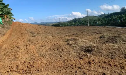 Terreno com 1.000 m² no interior de balneário piçarras por apenas r$ 130 mil! tranquilidade, espaço e natureza em um só lugar!