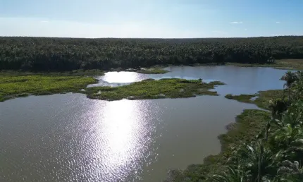 Fazenda à venda na Zona Rural, Barão de Grajaú 