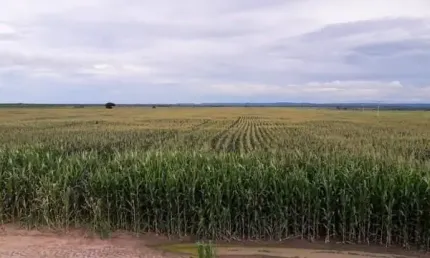 Fazenda à venda na Zona Rural, Fortuna 