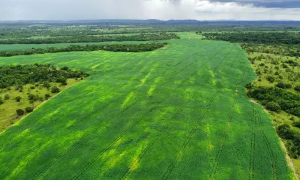 Fazenda à venda no Setor Central, Aragominas 