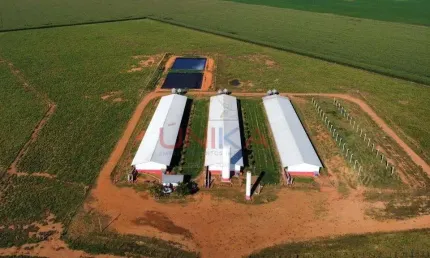 Fazenda à venda na tapurah, sn, zona rural, tapurah