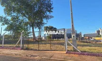 Terreno comercial para alugar, 1000 m² por R$ 7.000/mês - Vila Aviação - Bauru/SP