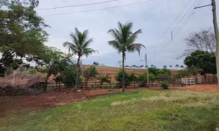 Sítio à venda, 37 alqueires por R$ 7.400.000 - Duartina/SP
