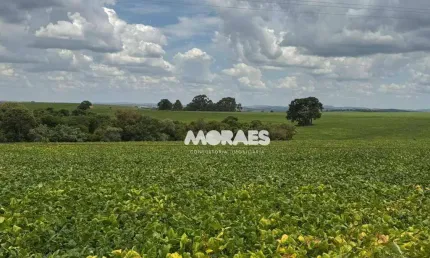 Fazenda de Soja à venda, 120 alqueires paulista por R$ 39.600.000 - Itapeva/SP