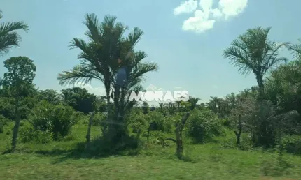 Fazenda à venda, 1892,35 Hectares por R$ 12.000.000 - Recursolândia/TO