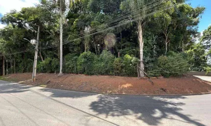 Terreno à venda, 7978 m² por R$ 2.500.000,00 - Umbará - Curitiba/PR