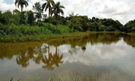 Sítio à venda, 159048 m² por R$ 1.300.000,00 - Centro - Flor da Serra do Sul/PR