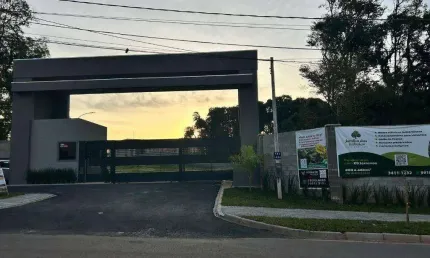 Terreno à venda, 160 m² por R$ 349.000,00 - Colônia Rio Grande - São José dos Pinhais/PR
