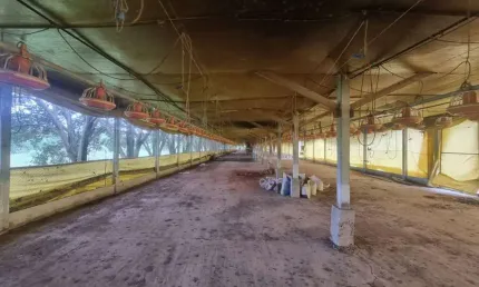 Terreno, 1788 m² - venda por R$ 150.000 ou aluguel por R$ 2.500/mês - Americaninha - Boituva/São Paulo