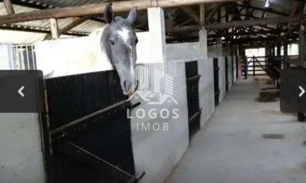 Excelente Sítio para morar ou investir com fácil acesso na região de Barbacena.