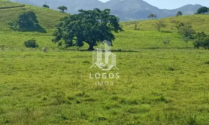 Chácara / sítio com 3 quartos à venda na Avenida Avelino Sarmento - Centro, Zona Rural, Guarani