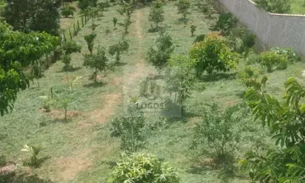Excelente Chácara em Prainha de Monte Verde- Juiz de Fora - MG.