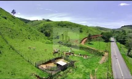 Sítio com 30 hectares em santa barbara em monte verde - mg.