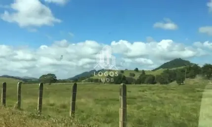 Excelente fazenda com 96 alqueires, 90% de área plana tratorável - palma - mg - 02