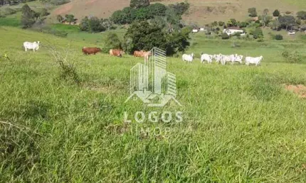 Linda fazenda com excelente topografia em rio novo mg - 01