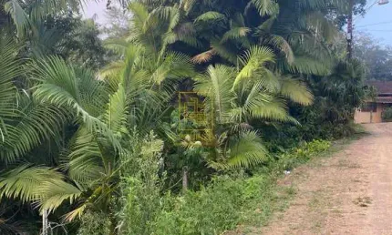 Terreno à venda no Fidélis, Blumenau 
