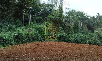 Terreno à venda no Rio Tigre, Benedito Novo 