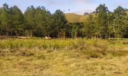 Terreno à venda em Cedro Alto, Rio dos Cedros 