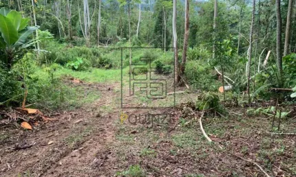 TERRENO NO ALTO SÃO BERNARDO EM RIO DOS CEDROS 126MIL M²