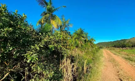 Terreno à venda no Rio Morto, Rodeio 
