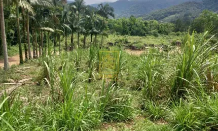Terreno à venda no Centro, Benedito Novo 