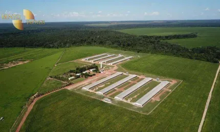 Chácara à venda, 900000 m² por R$ 15.000.000,00 - Zona Rural - Lucas do Rio Verde/MT