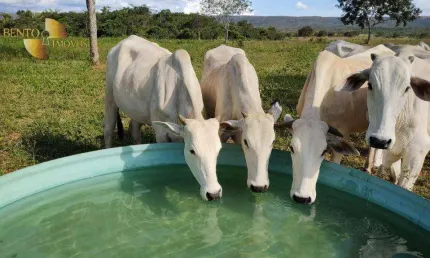 Fazenda à venda, 5080000 m² por r$ 16.000.000,00 - vila bom jardim - nobres/mt