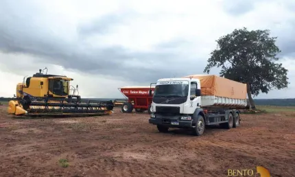Excelente fazenda 768 ha | 425 ha em produção | itiquira – alto garças – mt