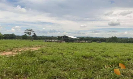 Fazenda à venda, 1740000 m² por R$ 5.000.000,00 - Zona Rural - Cuiabá/MT
