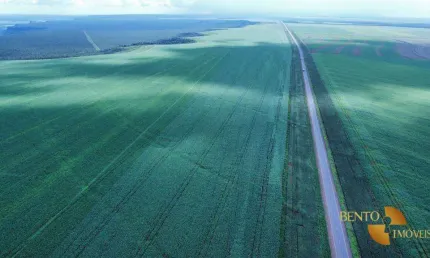 Fazenda à venda, 56000000 m² por R$ 291.600.000 - Zona Rural - Diamantino/MT
