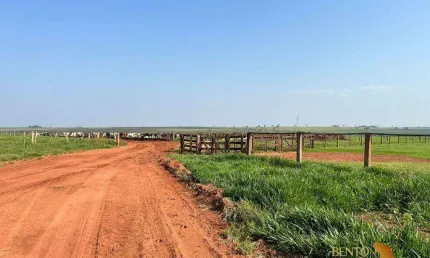 Fazenda à venda, 20200000 m² por R$ 133.000.000 - Zona Rural - Navirai/MS