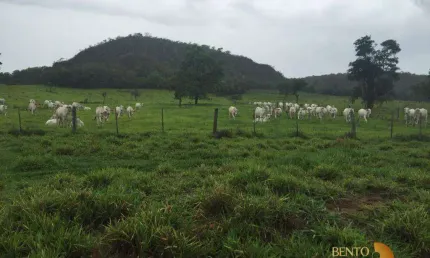 Fazenda à venda, 23400000 m² por R$ 42.120.000 - Zona Rural - Alto Araguaia/MT
