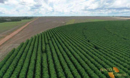 Fazenda à venda, 53000000 m² por R$ 500.000.000 - Zona Rural - João Pinheiro/MG