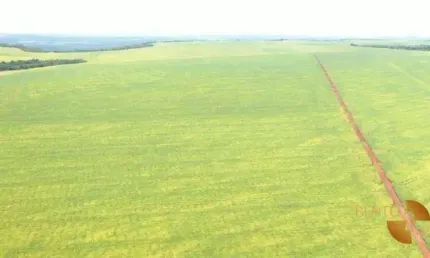Fazenda à venda, 40000000 m² por R$ 300.000.000 - 256 - Tesouro/MT