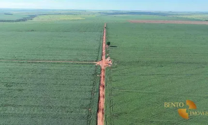 Fazenda à venda, 17280000 m² por R$ 105.000.000 - Zona Rural - Navirai/MS