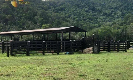 Fazenda à venda, 10360000 m² por r$ 25.000.000,00 - zona rural - santo antônio do leverger/mt