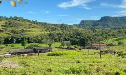 Fazenda à venda, 10060000 m² por R$ 19.000.000,00 - Zona Rural - Dom Aquino/MT
