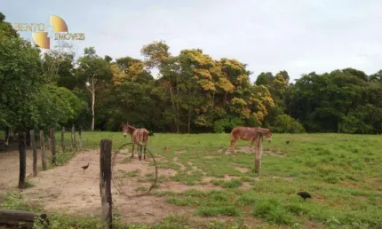 Fazenda à venda, 48368000 m² por R$ 52.000.000,00 - Zona Rural - Gaúcha do Norte/MT