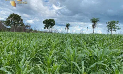 Fazenda à venda, 2000000 m² por R$ 2.600.000,00 - Zona Rural  - Várzea Grande/MT