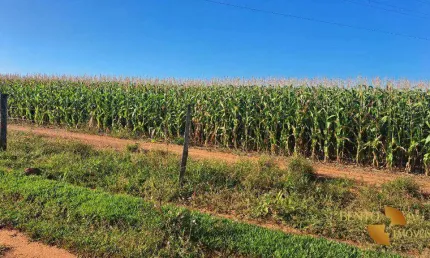 Fazenda à venda, 5040000 m² por r$ 16.000.000,00 - setor residencial boa vista - rondonópolis/mt