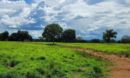 Fazenda à venda, 6900000 m² por r$ 20.700.000 - zona rural - poconé/mt